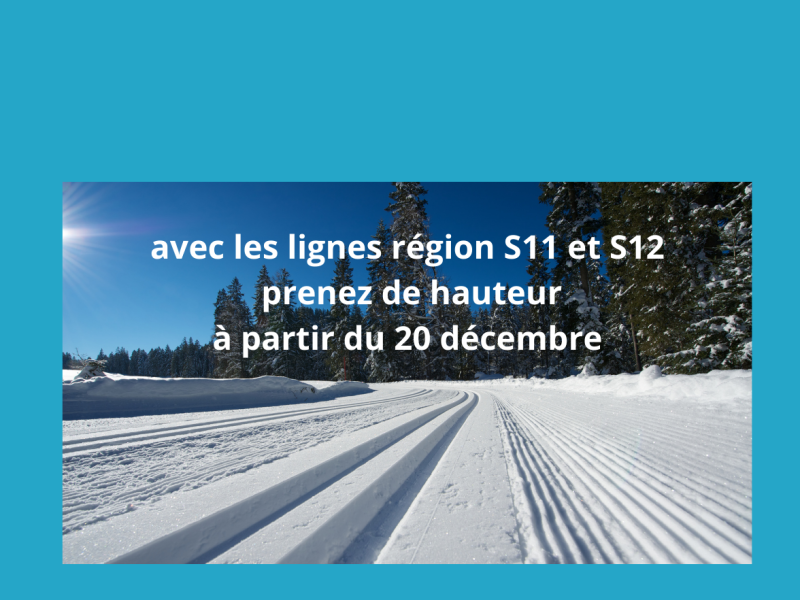 lignes région hiver